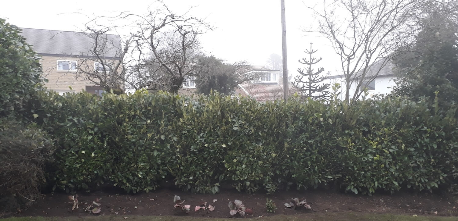 After instant hedges