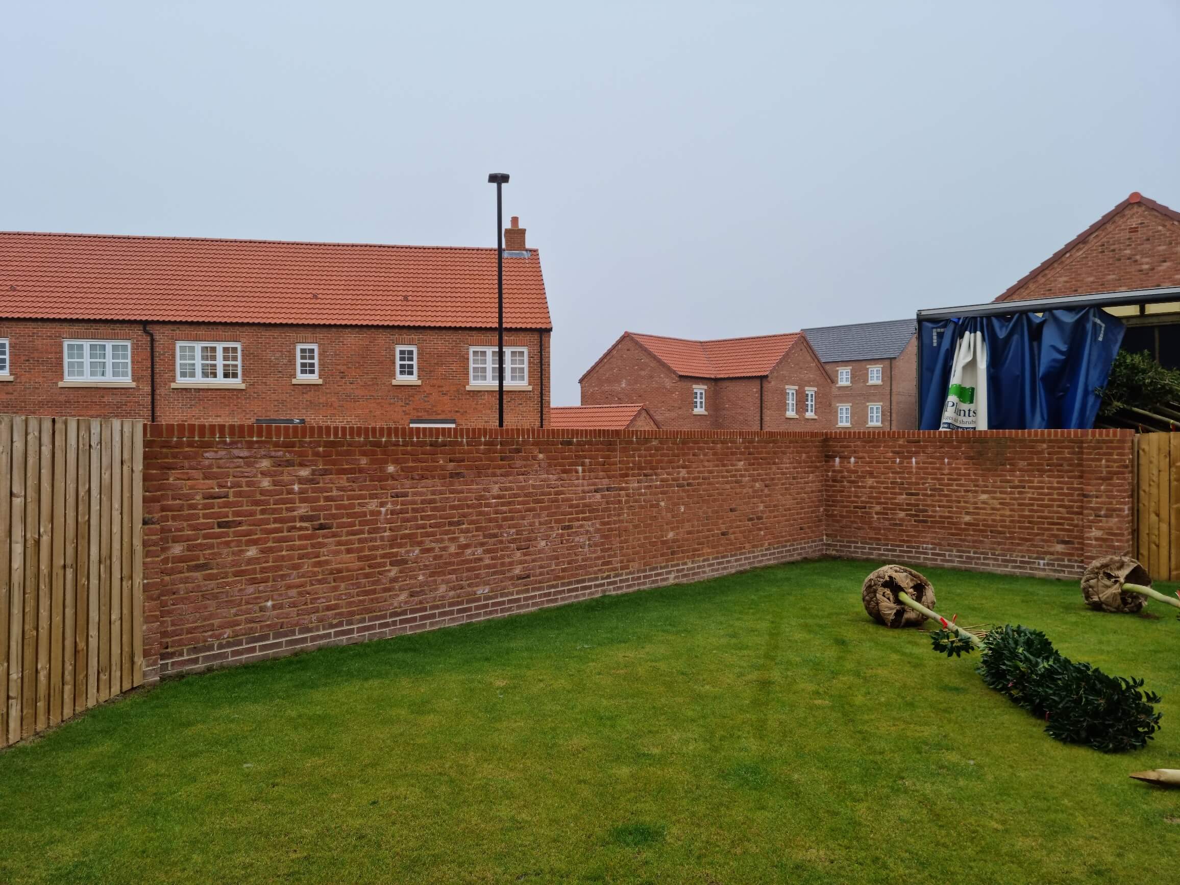 Garden before mature trees