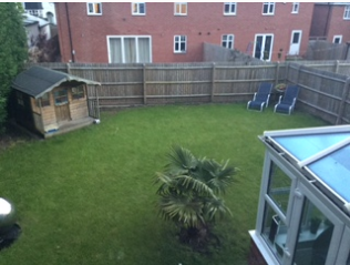 Garden Before Transformation