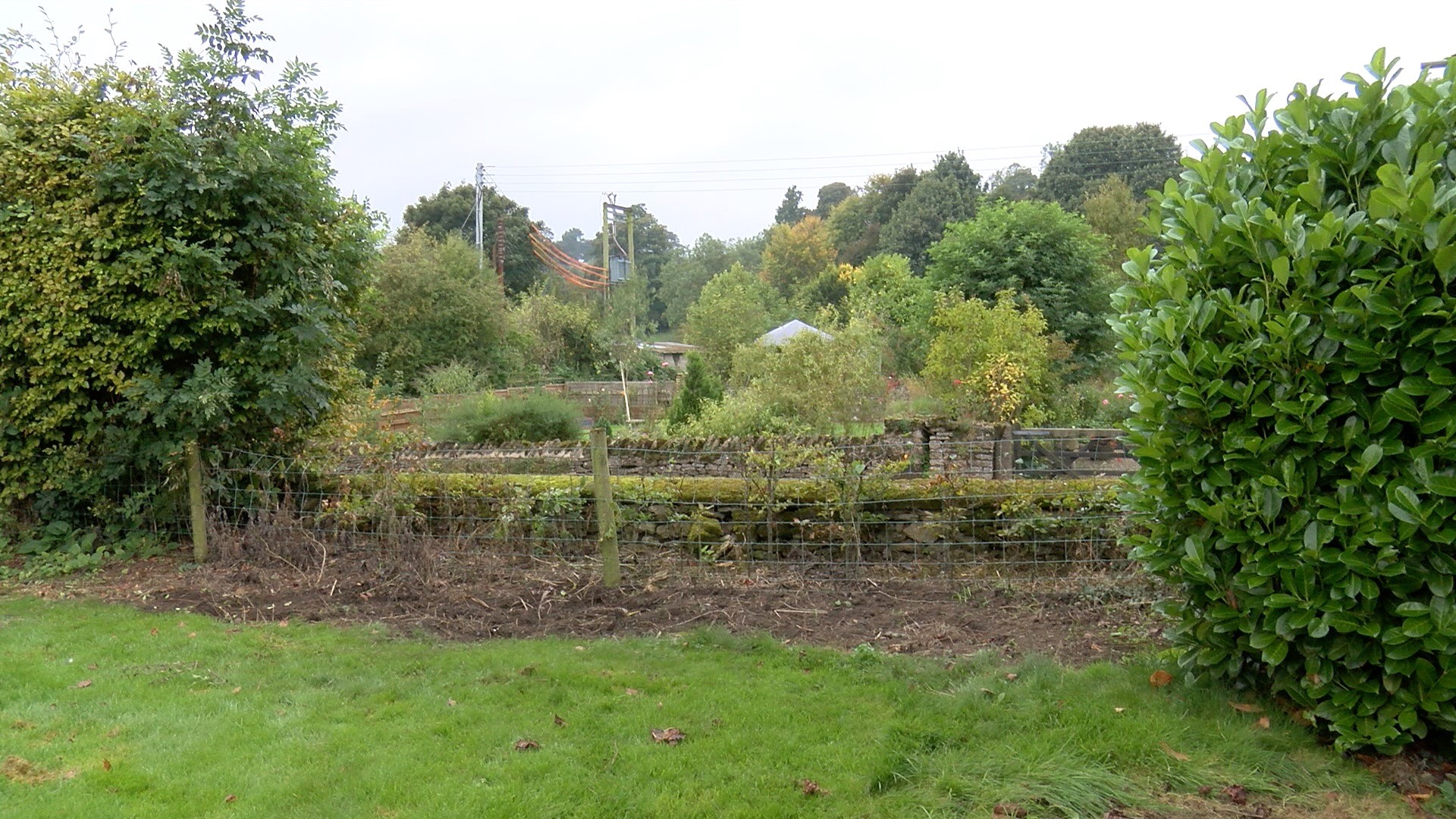 Garden before laurel hedge