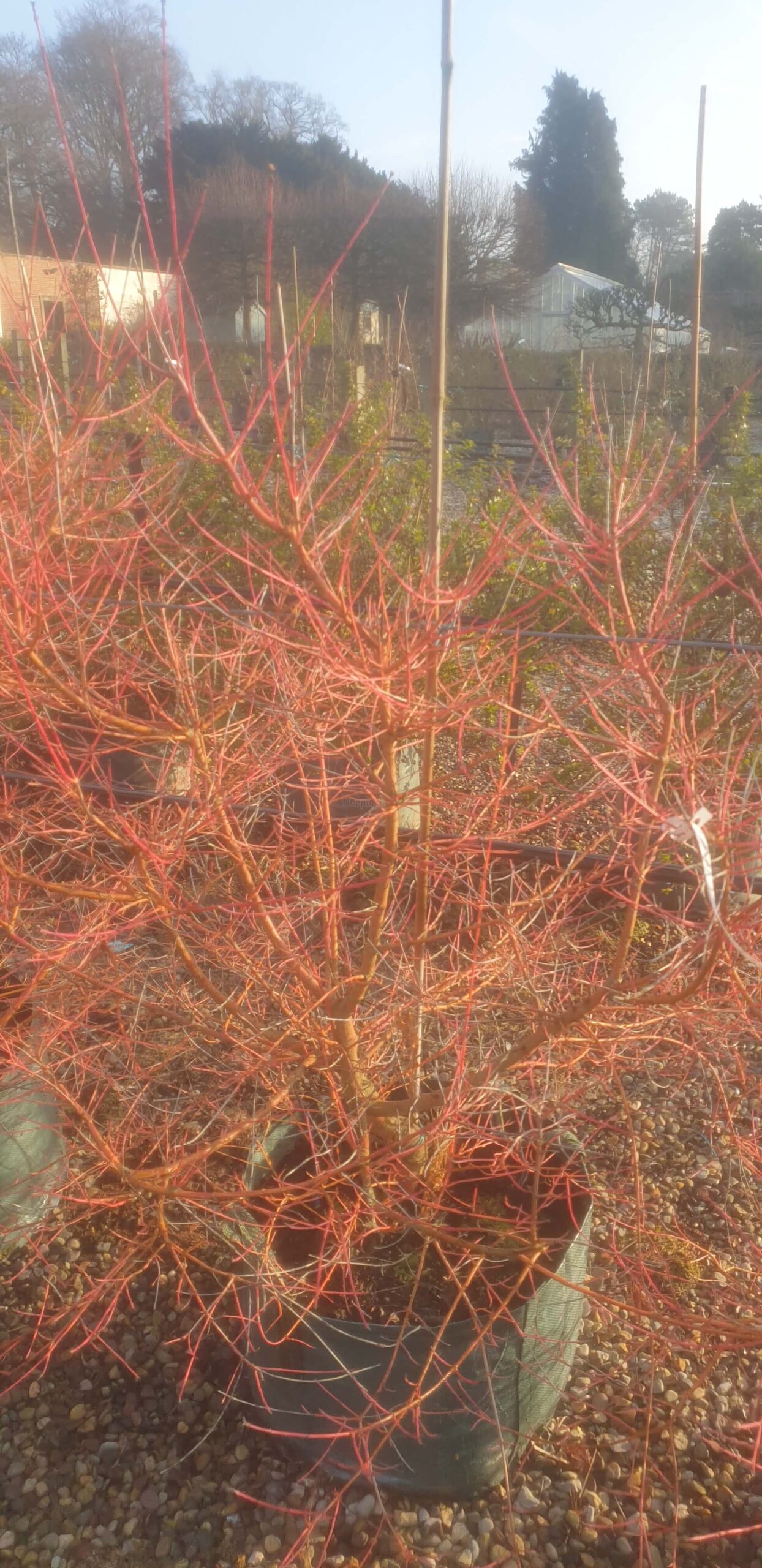 20220126_094952.jpg