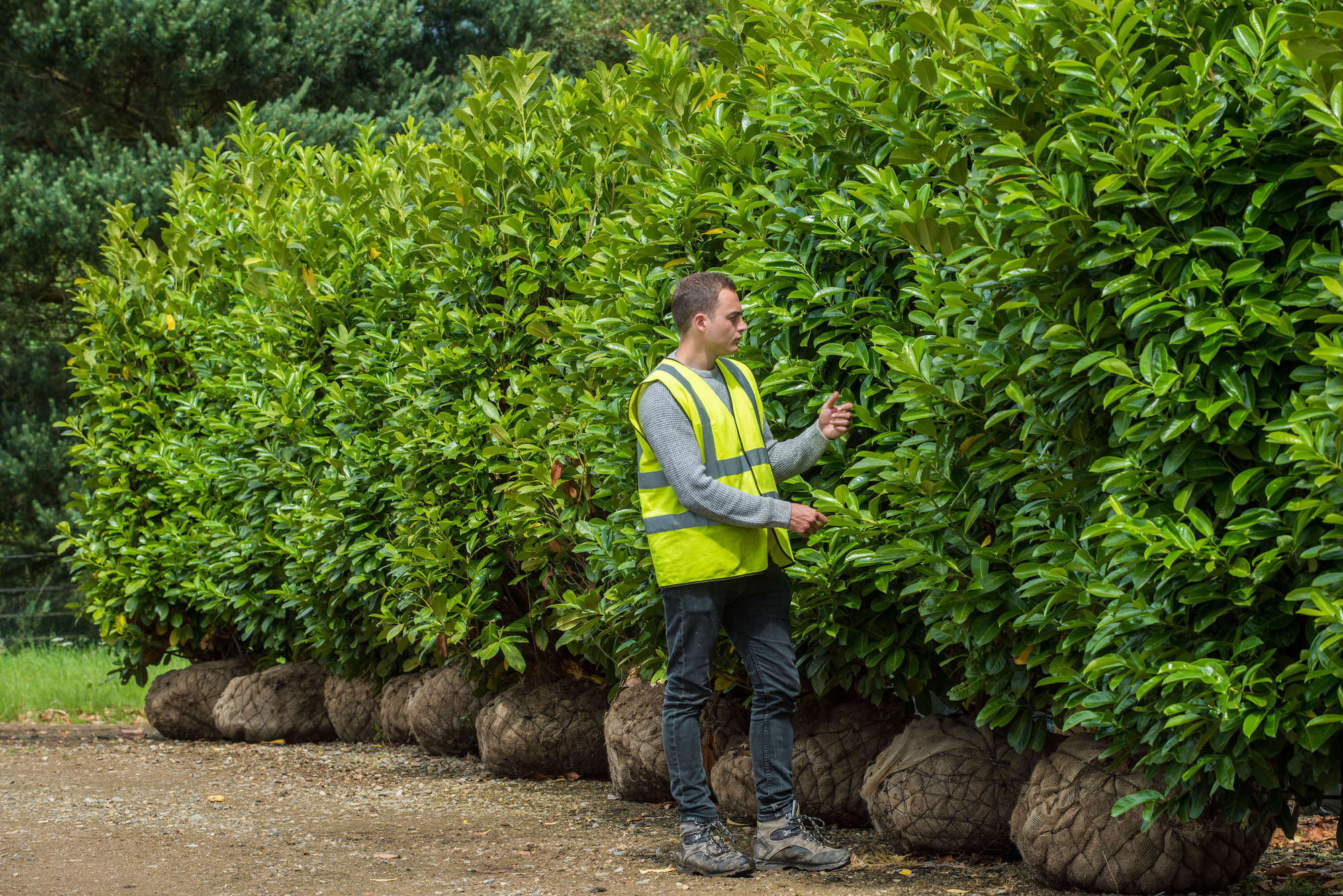 Wykeham blocks and nursery worker