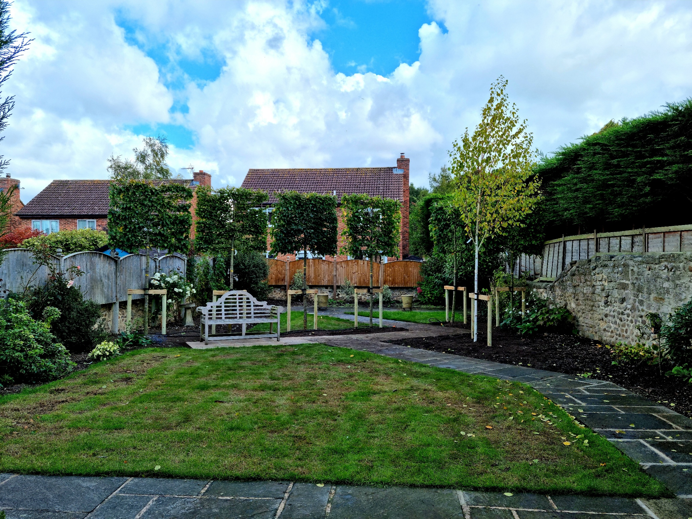 Pleached Hornbeam provide screening